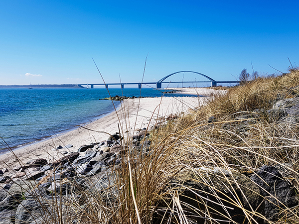 Strand Fehmarnsund Fehmarnsundbrücke Steine Seegras